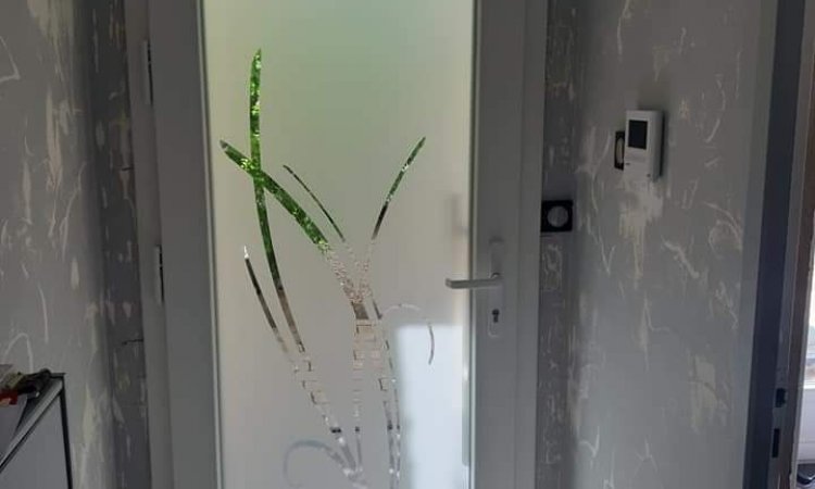Installation d'une porte d'entrée PVC vitrée à GENAS