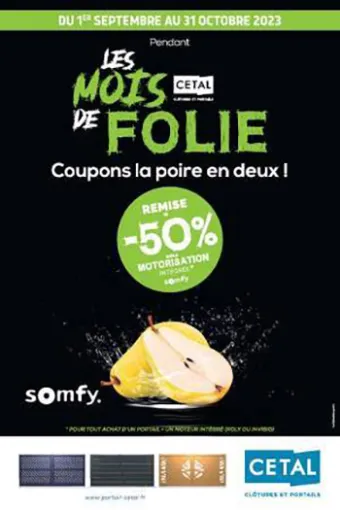 Portails : Offre sur motorisation intégrée sur LYON et communes environnantes (BRON/Décines/Villeurbanne/Saint-Cyr-Au-Mont-d'Or), Décines-Charpieu, CONFORT ISO SERVICES